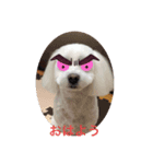 愛犬ライン2（個別スタンプ：1）