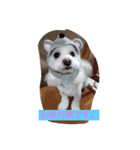 愛犬ライン2（個別スタンプ：2）