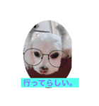 愛犬ライン2（個別スタンプ：3）