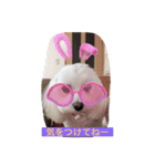 愛犬ライン2（個別スタンプ：4）