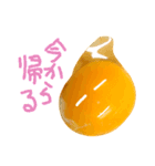 EGGな毎日6家族思いでしょ？( ´∀`)（個別スタンプ：1）