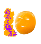 EGGな毎日6家族思いでしょ？( ´∀`)（個別スタンプ：6）