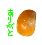 EGGな毎日6家族思いでしょ？( ´∀`)（個別スタンプ：10）