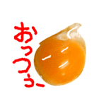 EGGな毎日6家族思いでしょ？( ´∀`)（個別スタンプ：11）