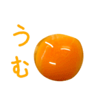 EGGな毎日6家族思いでしょ？( ´∀`)（個別スタンプ：20）