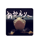 ヒョウモントカゲモドキのマック（個別スタンプ：8）