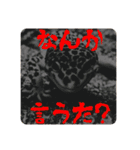 ヒョウモントカゲモドキのマック（個別スタンプ：12）