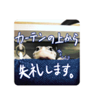 ヒョウモントカゲモドキのマック（個別スタンプ：14）