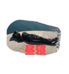 OBT4-4.3（個別スタンプ：32）
