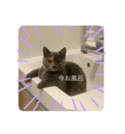 ぬーと一緒☆彡.。（個別スタンプ：2）