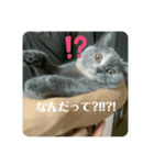ぬーと一緒☆彡.。（個別スタンプ：4）
