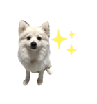 むぎ♪のスタンプ2.5（個別スタンプ：2）