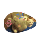 めぐミルクのペットと晩ごはんリクエスト（個別スタンプ：15）