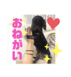 プリムスフラン♡（個別スタンプ：8）
