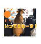 プリムスフラン♡（個別スタンプ：17）