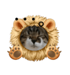 ねこねこにゃんにゃーん（個別スタンプ：1）