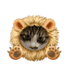 ねこねこにゃんにゃーん（個別スタンプ：10）
