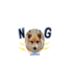 柴犬こまち2（個別スタンプ：2）