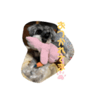 アリコちゃん4（個別スタンプ：8）