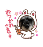 アリコちゃん4（個別スタンプ：14）