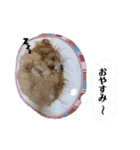 あざとベル（個別スタンプ：2）