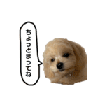 あざとベル（個別スタンプ：9）