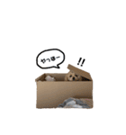あざとベル（個別スタンプ：10）