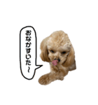 あざとベル（個別スタンプ：11）