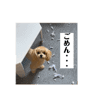 あざとベル（個別スタンプ：23）