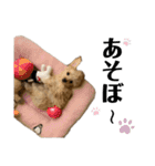 あざとベル（個別スタンプ：24）