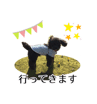 K宅のわんこスタンプ（個別スタンプ：2）