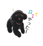 K宅のわんこスタンプ（個別スタンプ：3）