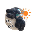 K宅のわんこスタンプ（個別スタンプ：5）