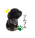 K宅のわんこスタンプ（個別スタンプ：8）