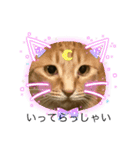 まゆと5匹のねこ3（個別スタンプ：3）