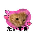 まゆと5匹のねこ3（個別スタンプ：8）