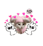 モカちゃん マロン君（個別スタンプ：1）
