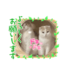 モカちゃん マロン君（個別スタンプ：2）