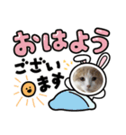 モカちゃん マロン君（個別スタンプ：5）