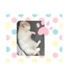 モカちゃん マロン君（個別スタンプ：8）