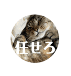 にゃんたろう＾＾（個別スタンプ：33）
