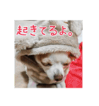 スムチー♡チルチルの毎日スタンプ②（個別スタンプ：22）