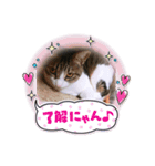 ♡琴子スタンプ♡（個別スタンプ：2）