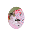 ♡琴子スタンプ♡（個別スタンプ：5）