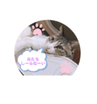 ♡琴子スタンプ♡（個別スタンプ：8）