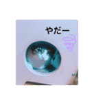 ♡琴子スタンプ♡（個別スタンプ：13）