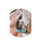 ♡琴子スタンプ♡（個別スタンプ：15）