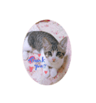 ♡琴子スタンプ♡（個別スタンプ：16）