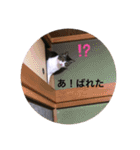 ♡琴子スタンプ♡（個別スタンプ：18）