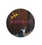 ♡琴子スタンプ♡（個別スタンプ：19）